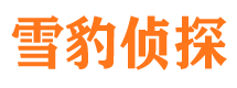 铁锋市侦探调查公司